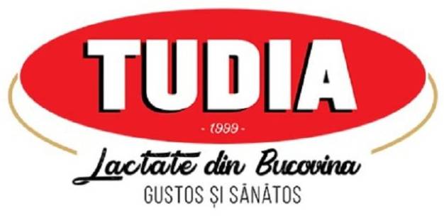 Tudia logo